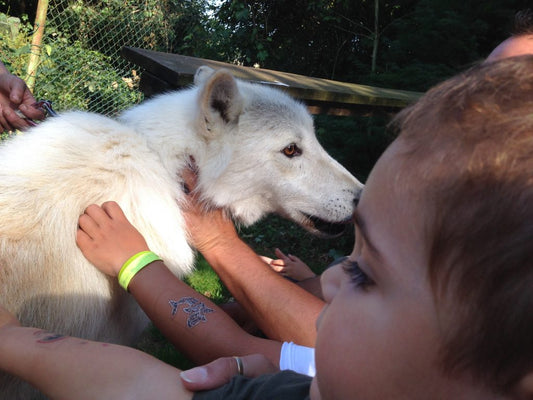 ¿ PERROS Y NIÑOS ? SIN COMPARACIONES POR FAVOR